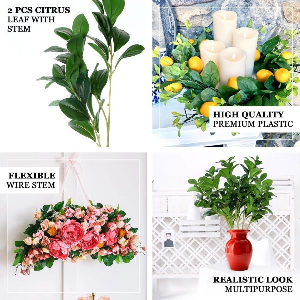 2 Pack | 26" Artificial Green Lemon Leaf Stem, Faux Greenery Spray - Image 4